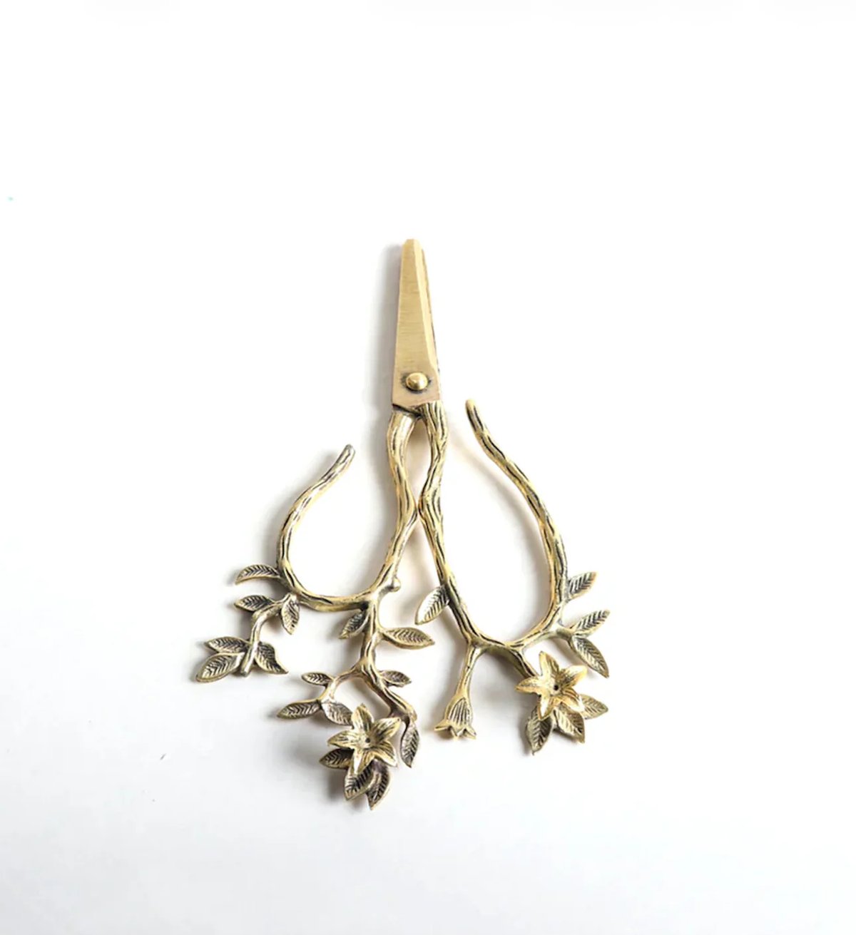 Eden Scissors