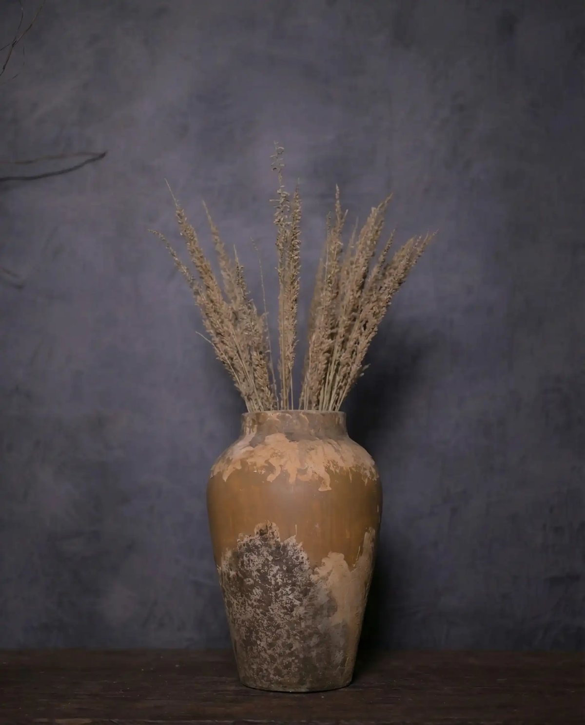Earthen Irradiation Terracotta Pot