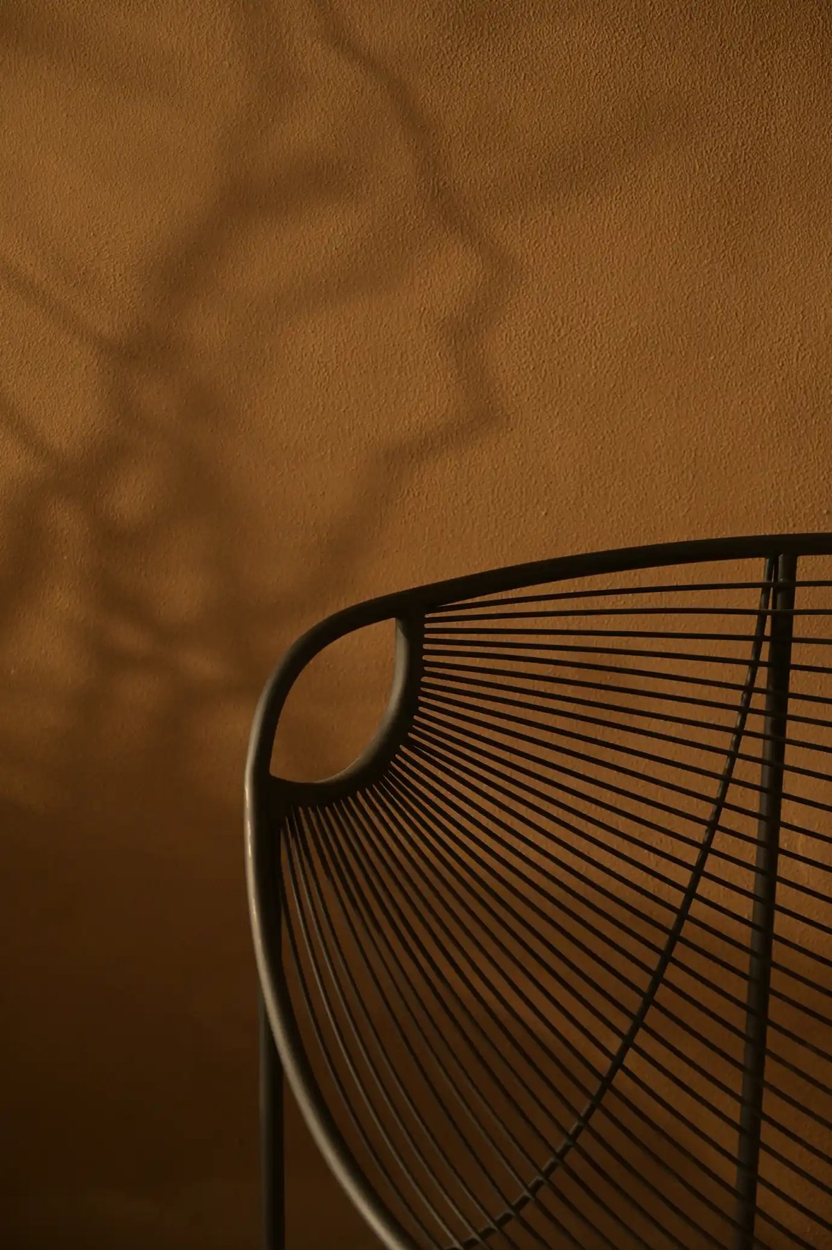 Calma Lounger