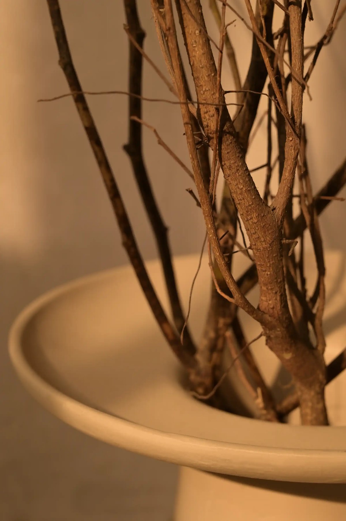 Lume Vase