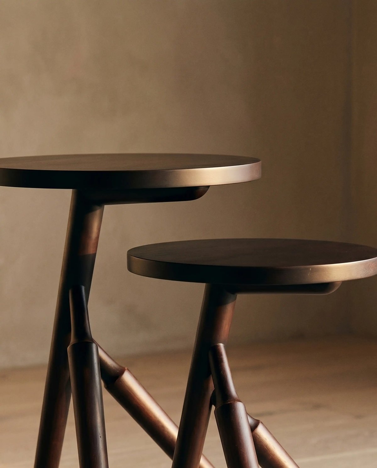 Ranthambore Nesting Table Set of 2