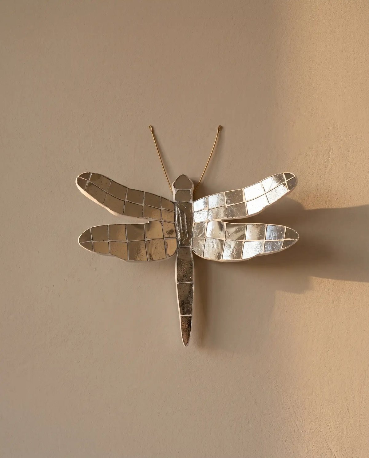 Thikri Dragonfly