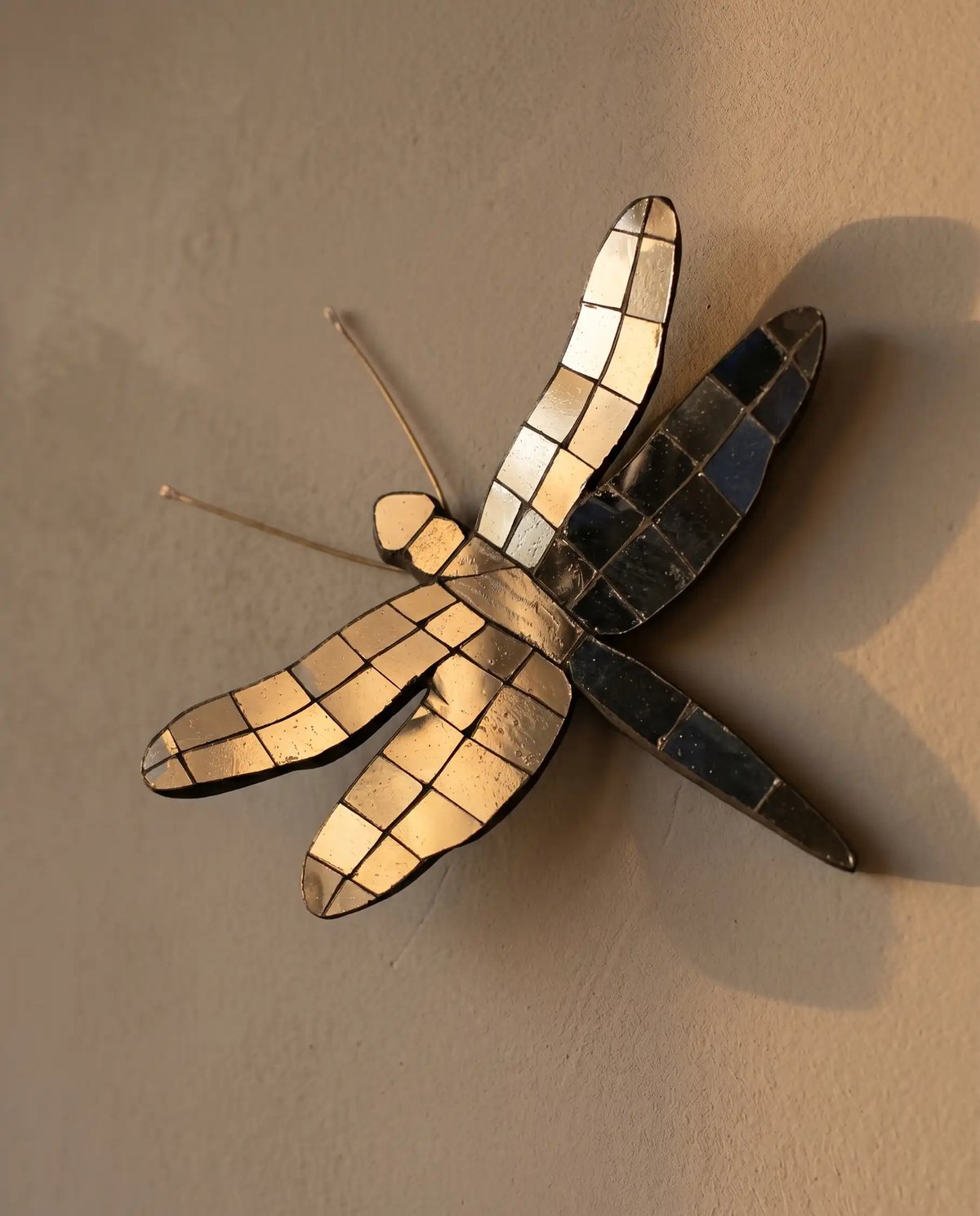 Thikri Dragonfly