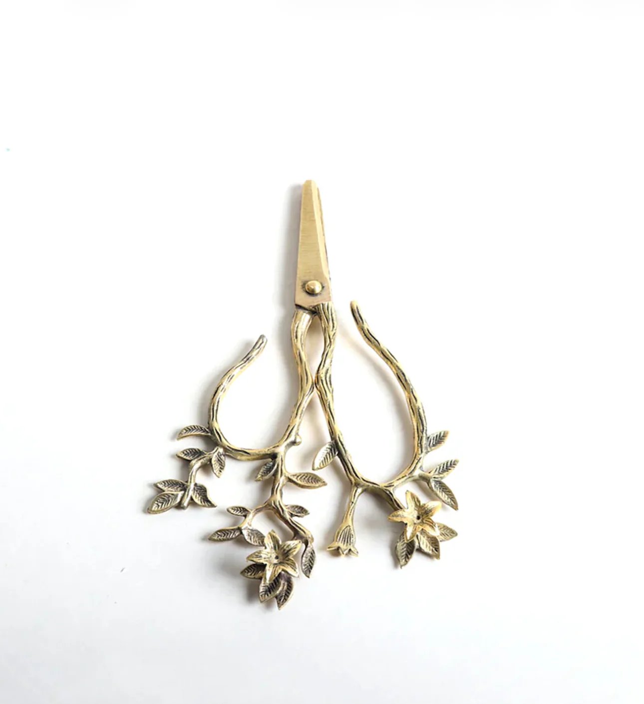 Eden Scissors