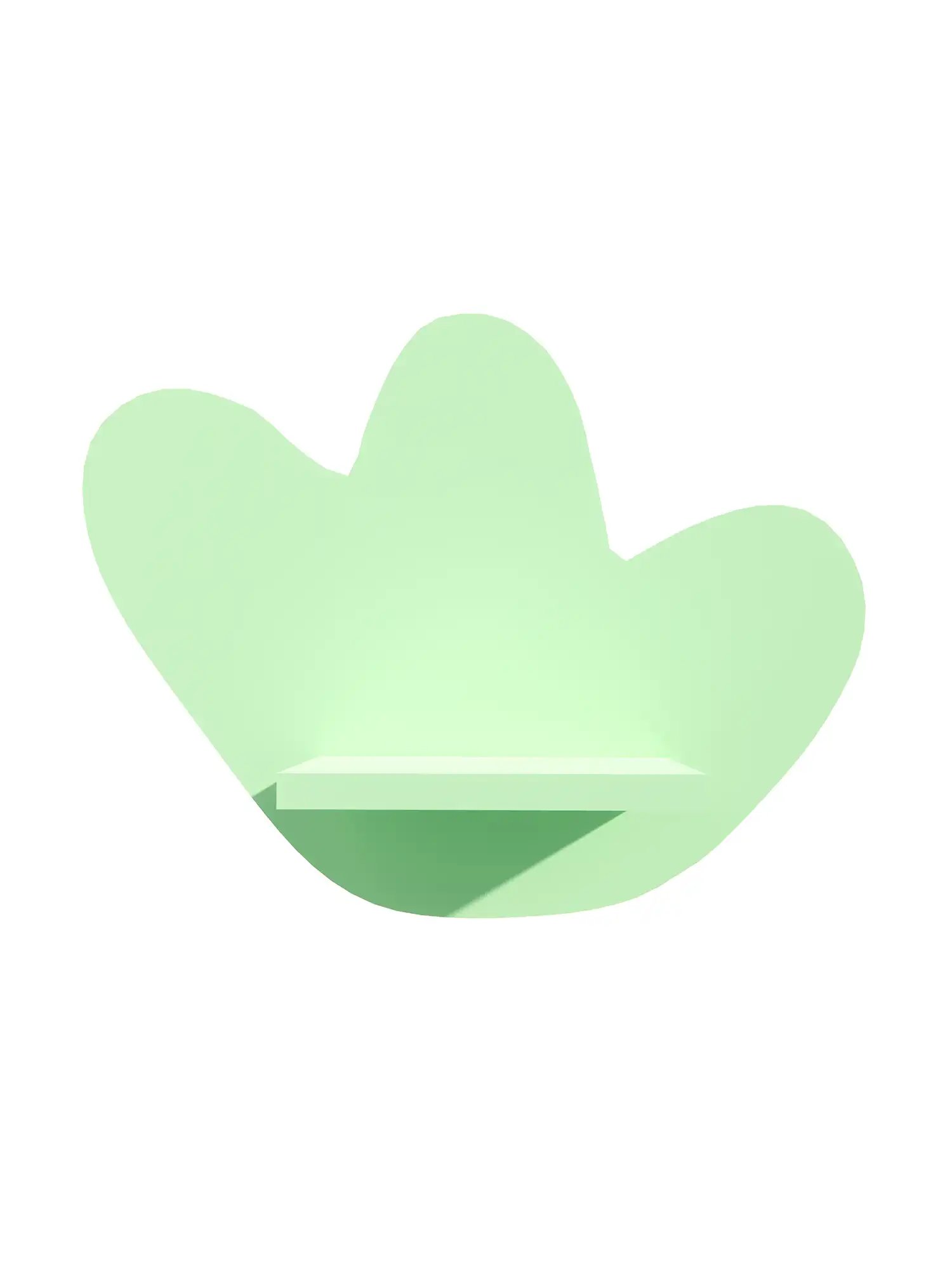 Amoeba Shape Shelf