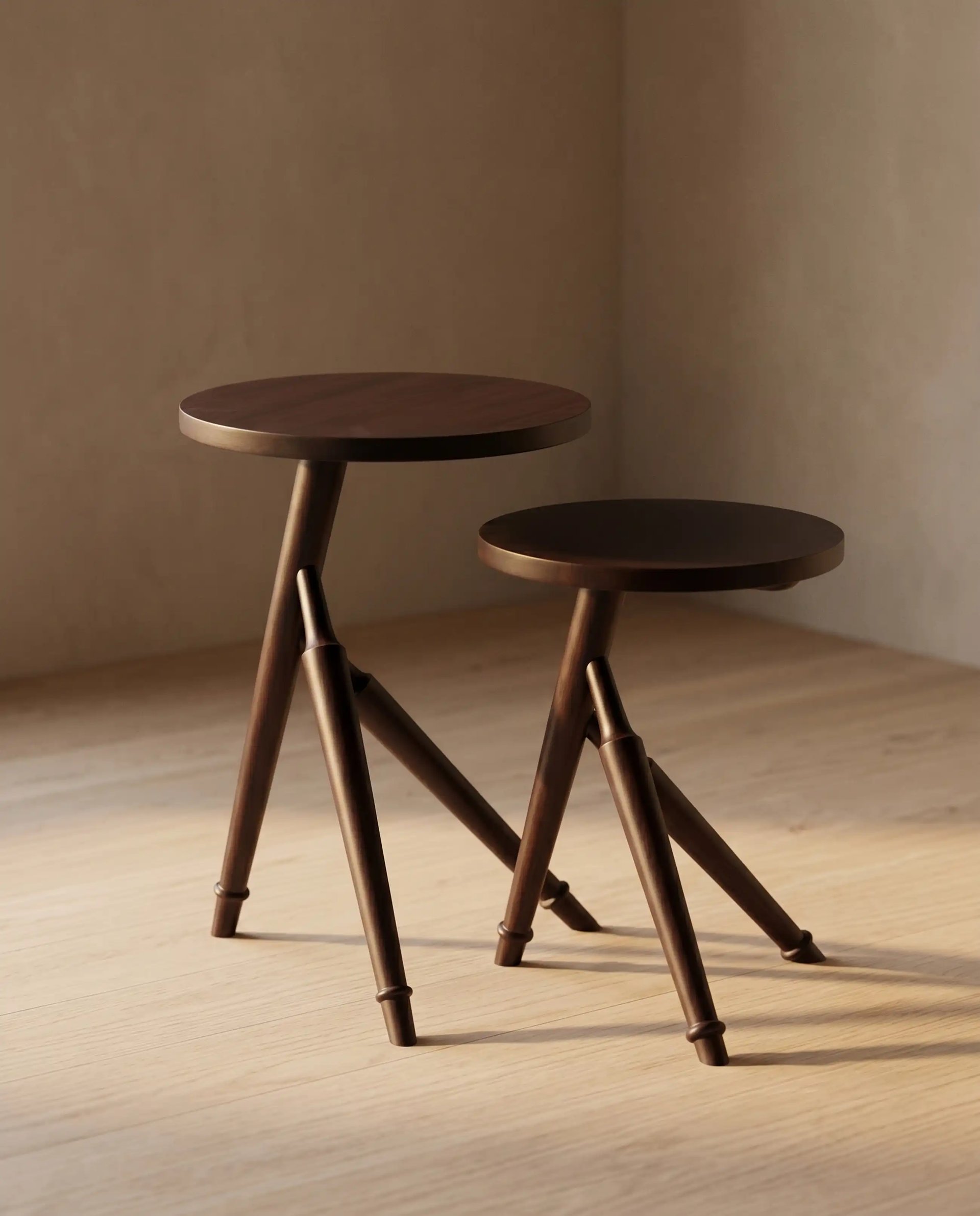 Ranthambore Nesting Table Set of 2