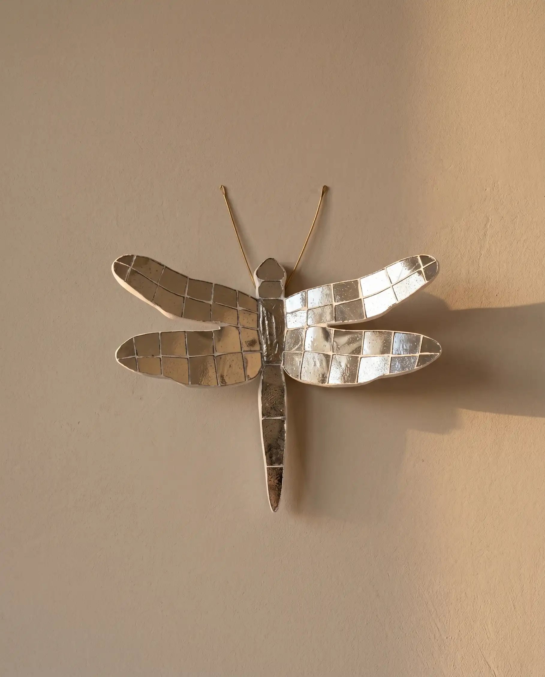 Thikri Dragonfly