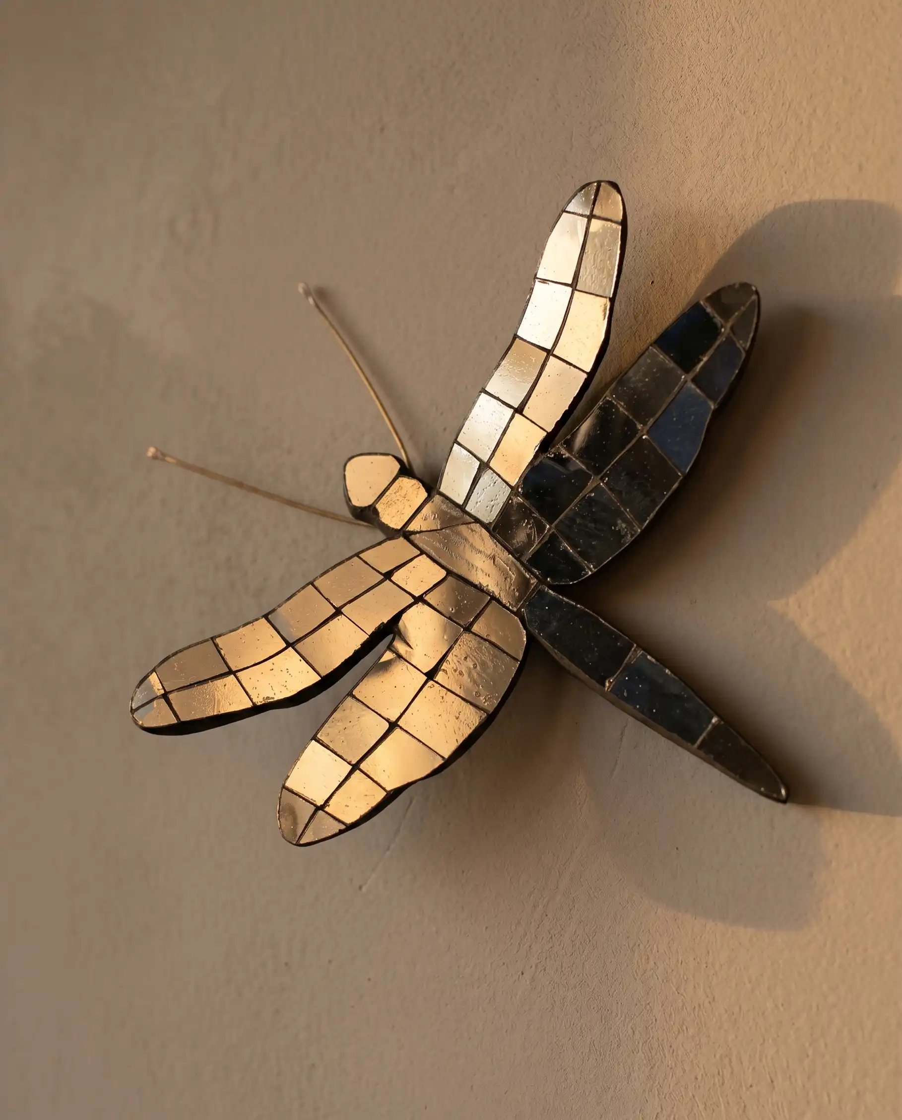 Thikri Dragonfly