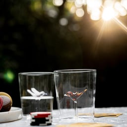 Wren Drinking Glasses - set of 2 view