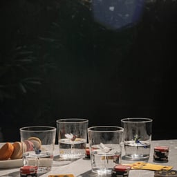 Wren Drinking Glasses - set of 2 view