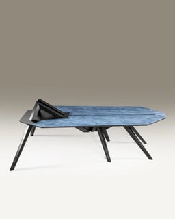 Caelifera Centre Table view