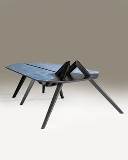 Caelifera Centre Table view