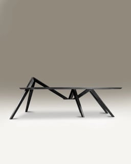 Caelifera Centre Table view