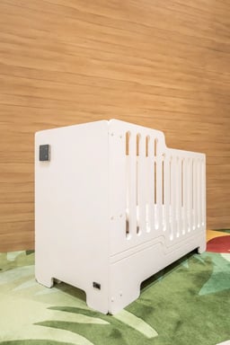 The SmartNest with mattress view