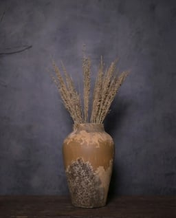 Earthen Irradiation Terracotta Pot view