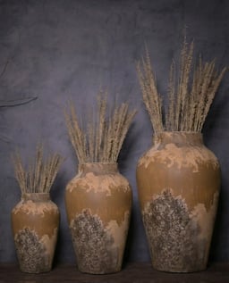 Earthen Irradiation Terracotta Pot view