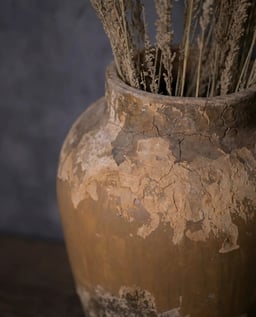 Earthen Irradiation Terracotta Pot view