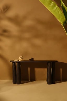 Ren Console view