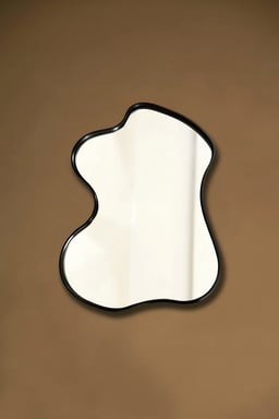 Contour Mirror view