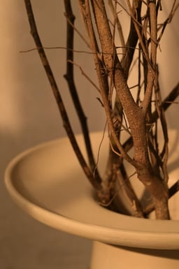 Lume Vase view