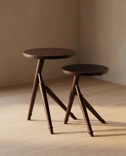 Ranthambore Nesting Table Set of 2 view