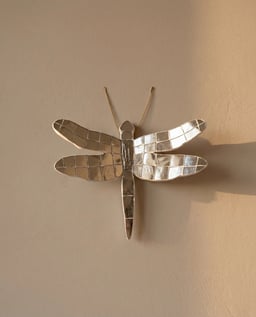 Thikri Dragonfly view