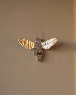 Thikri Bee view